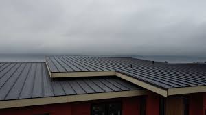 Best Solar Panel Roofing Installation  in Markesan, WI